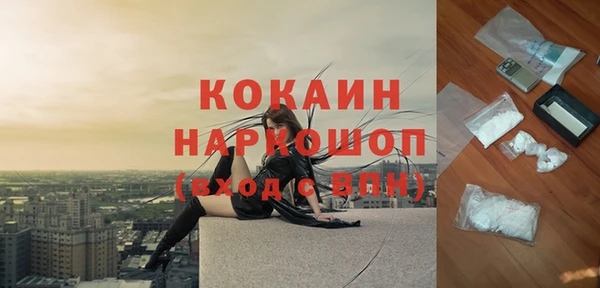 МДПВ Нефтегорск