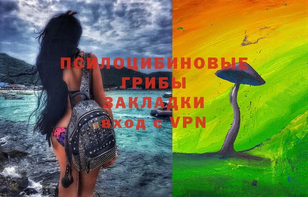 МДПВ Нефтегорск