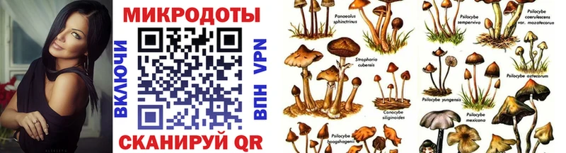 это состав  Тбилисская  Псилоцибиновые грибы мицелий  как найти закладки 